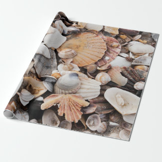 Cadeau Papier d'emballage de conception de coquille de