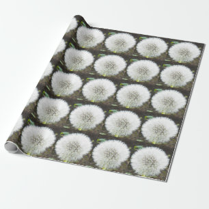 Cadeau Papier d'emballage de DUVET de PISSENLIT