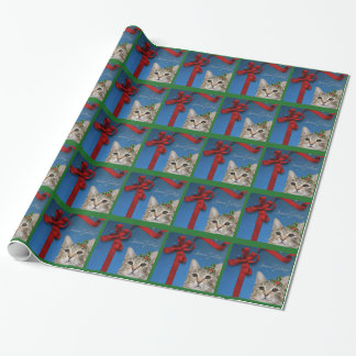 Cadeau Papier d'emballage de fille de Haddie