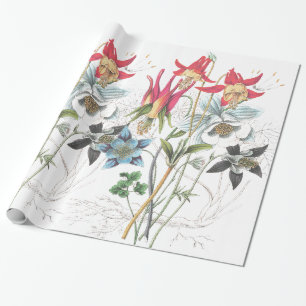 Cadeau Papier d'emballage de fleurs de Columbine