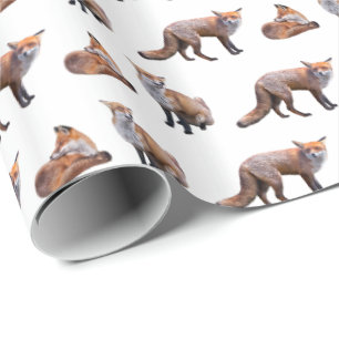 Cadeau Papier d'emballage de frénésie de Fox rouge