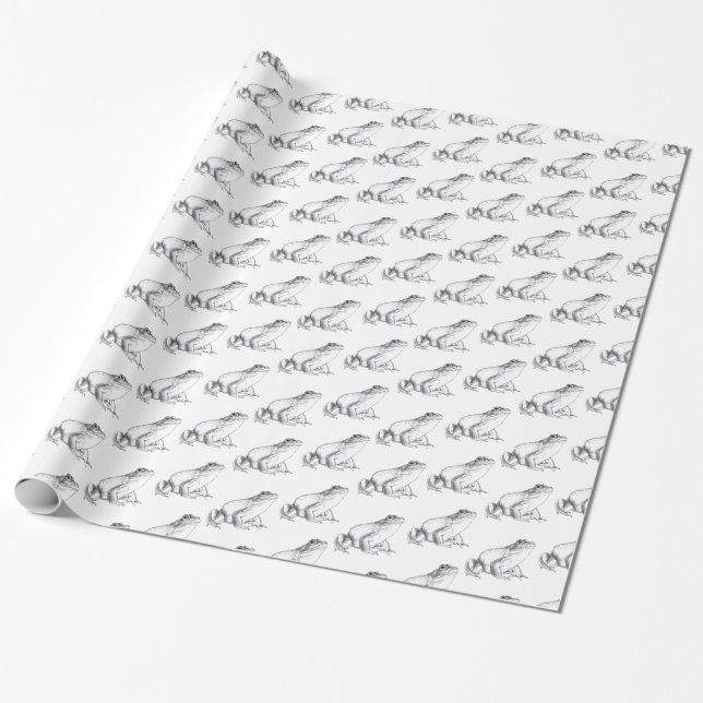 Cadeau Papier d'emballage de grenouille mignonne de (Déroulé)
