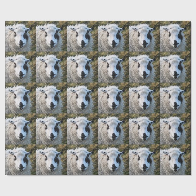 Cadeau Papier d'emballage de Lambie (Couture)