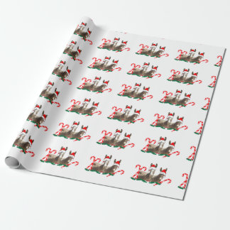 Cadeau Papier d'emballage de Noël, faune, ânes