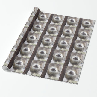 Cadeau Papier d'emballage de paresse