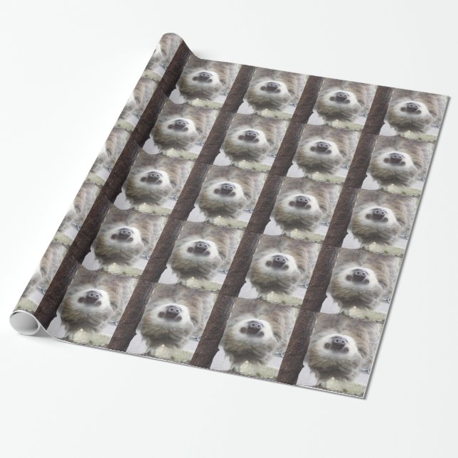 Cadeau Papier d'emballage de paresse (Déroulé)