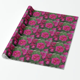 Cadeau Papier d'emballage de photographie de fleurs roses