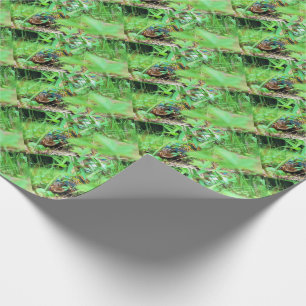 Cadeau Papier d'emballage de tortue de boîte