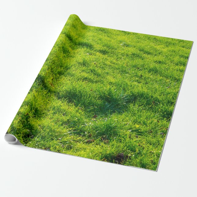 Cadeau Papier d'emballage d'impression d'herbe verte (Déroulé)