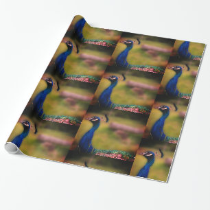 Cadeau Papier d'emballage mat Photo de paon