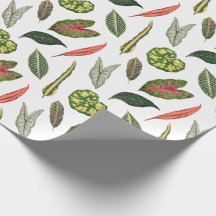 Papier d'emballage original feuille de plante vint