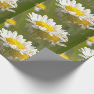 Cadeau Papier d'emballage photo de pâquerettes