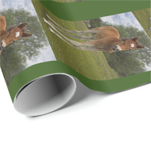 Cadeau Papier d'emballage Poulain