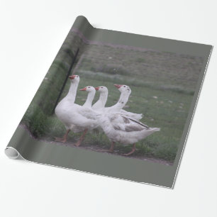 Cadeau Papier d'enlèvement de canard