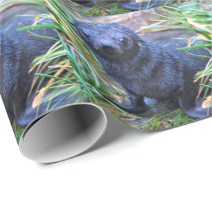 Cadeau Papier d'enlèvement de capot de phoque