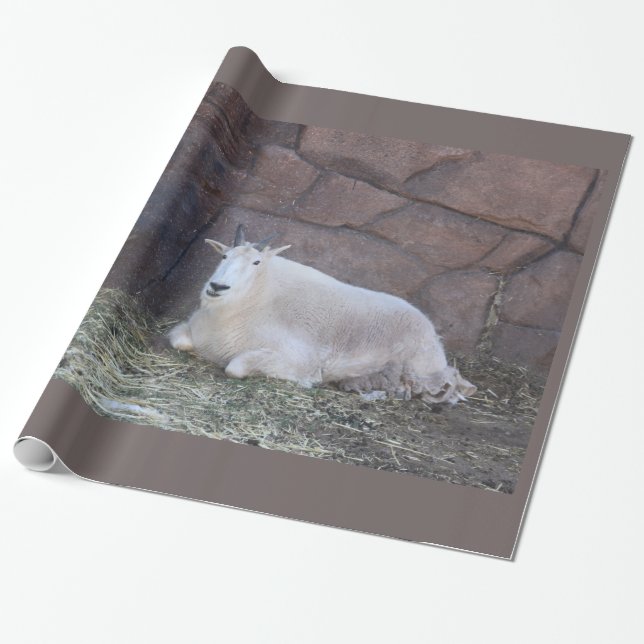Cadeau Papier d'enlèvement de chèvre (Déroulé)
