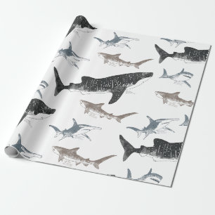 Cadeau Papier d'enlèvement de requin