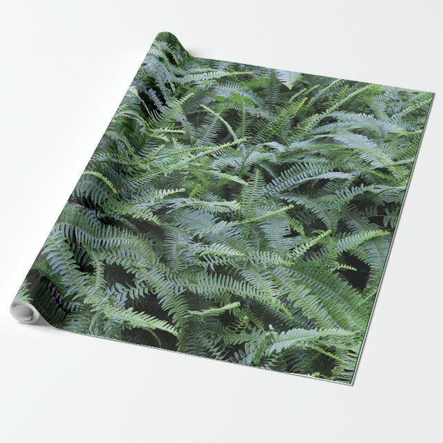 Cadeau Papier d'enrobage (Déroulé)