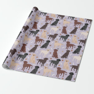Cadeau Papier d'enrobage des pattes et des os de collie r