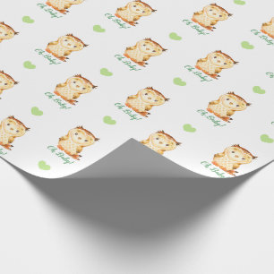 Cadeau Papier d'enveloppement de Baby shower neutre (hibo