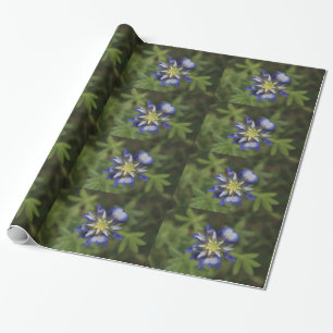 Cadeau Papier d'enveloppement de Bluebonnet Texas