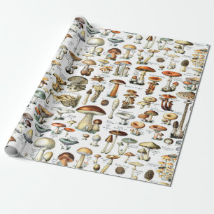 Cadeau Papier d'enveloppement de champignons botaniques v