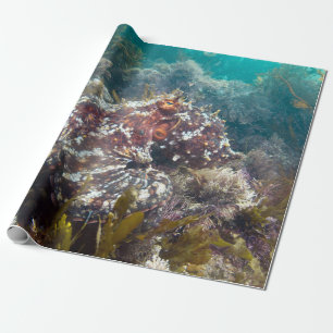 Cadeau Papier d'enveloppement de corail bleu