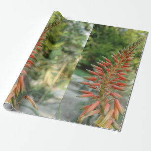 Cadeau Papier d'enveloppement de lin photo Aloe Vera, 30 