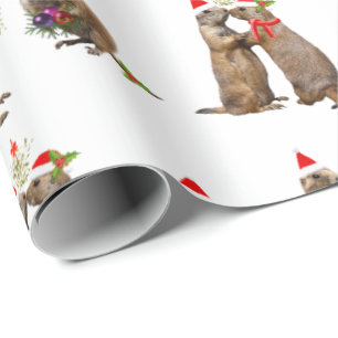 Cadeau Papier d'enveloppement de Noël des Prairies (choi