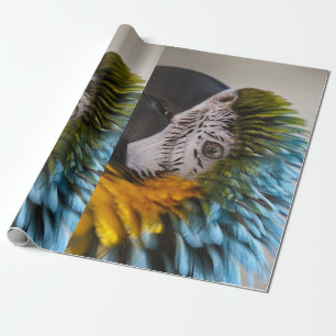 Cadeau Papier d'enveloppement de perroquet de Macaw