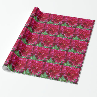 Cadeau Papier d'enveloppement de pivoine rouge