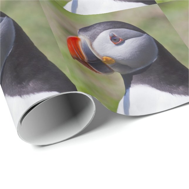 Cadeau Papier d'enveloppement de portrait de pouffin (Coin rond)