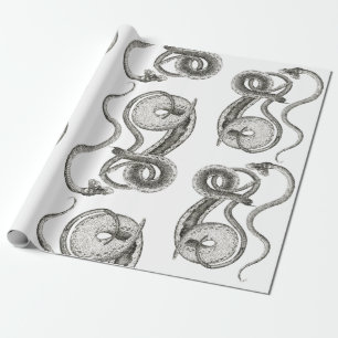 Cadeau Papier d'enveloppement de serpent