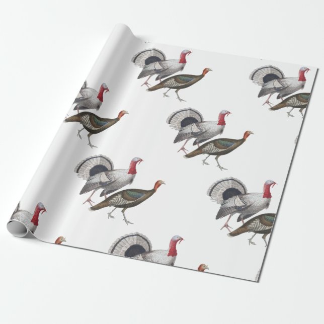 Cadeau Papier d'enveloppement de Turquie (Déroulé)