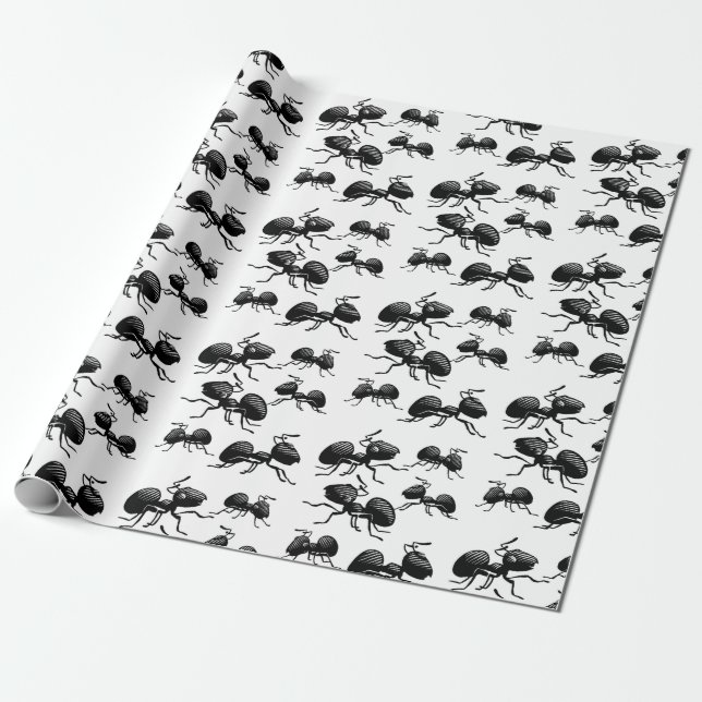 Cadeau Papier d'enveloppement des fourmis (Déroulé)