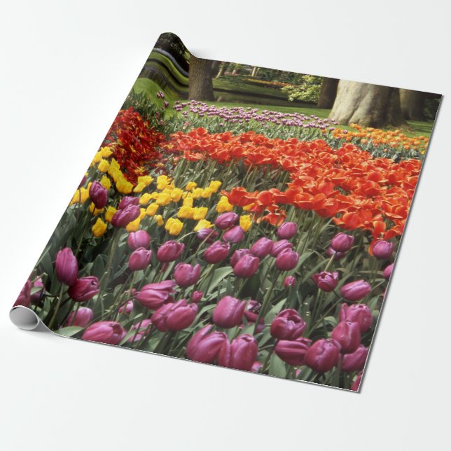 Cadeau Papier d'enveloppement des tulipes à ressort (Déroulé)