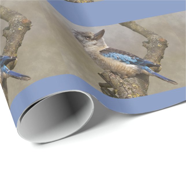 Cadeau Papier d'enveloppement Kookaburra (Coin rond)