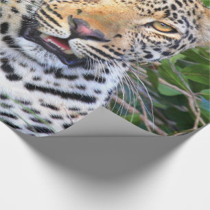 Cadeau Papier d'enveloppement Leopard 6