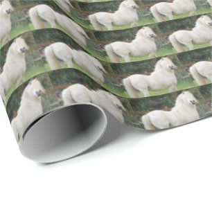 Cadeau Papier d'enveloppement pour chevaux gallois
