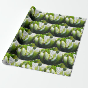 Cadeau Papier d'épluchage de serpent vert