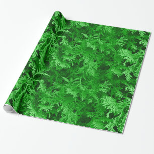 Cadeau Papier écorce de cèdre vert