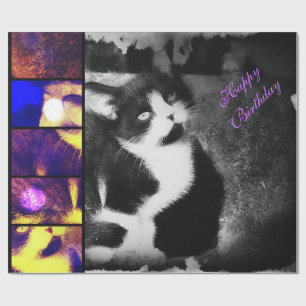Cadeau Papier photo Tuxedo Kitten pour l'habillage d'obje