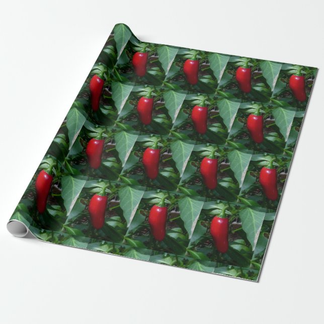 Cadeau Papier rouge à enveloppement pour poivron chaud (Déroulé)