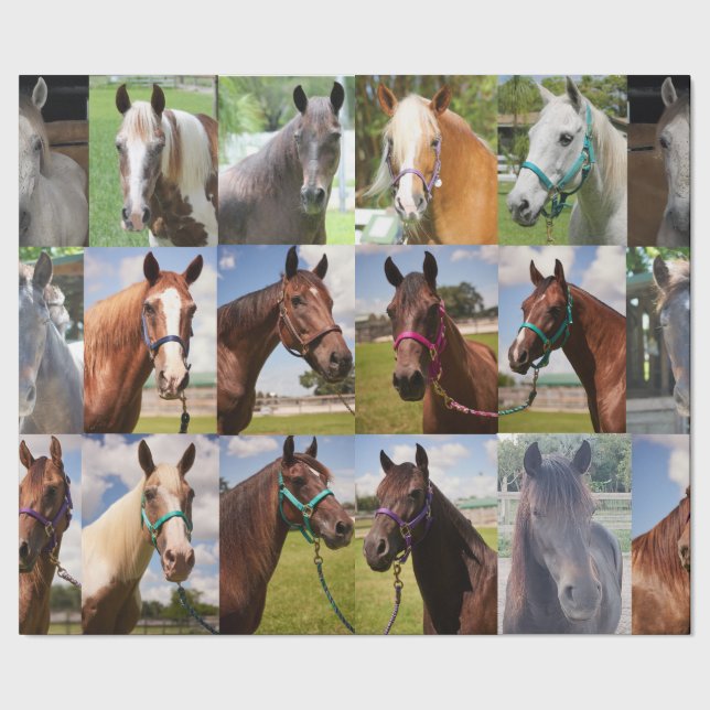 Cadeau Visages du papier d'enrobage de Secourt (Couture)