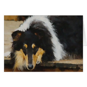 Cadeaux Collier Tri-Color Rough Collie