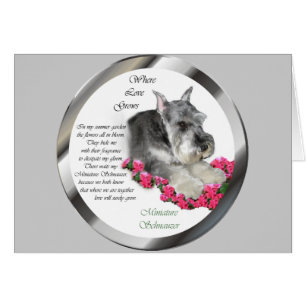 Cadeaux d'art Schnauzer miniature