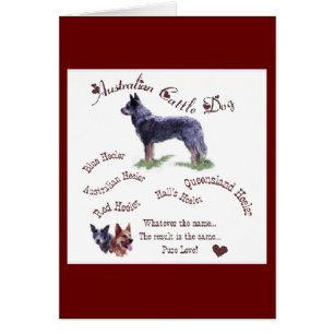 Cadeaux de chien de bétail australien