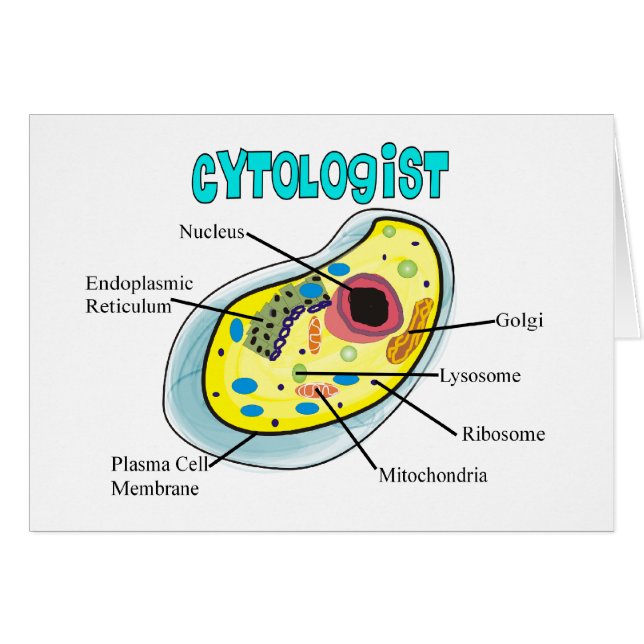 Cadeaux de dessin de cellule humaine de Cytologist (Devant horizontal)