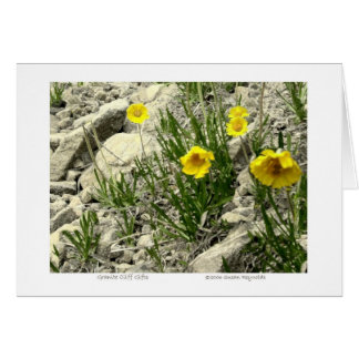 Cadeaux de falaises de granit