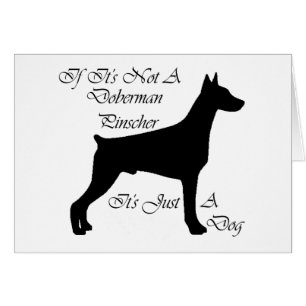 Cadeaux de Pinscher de dobermann